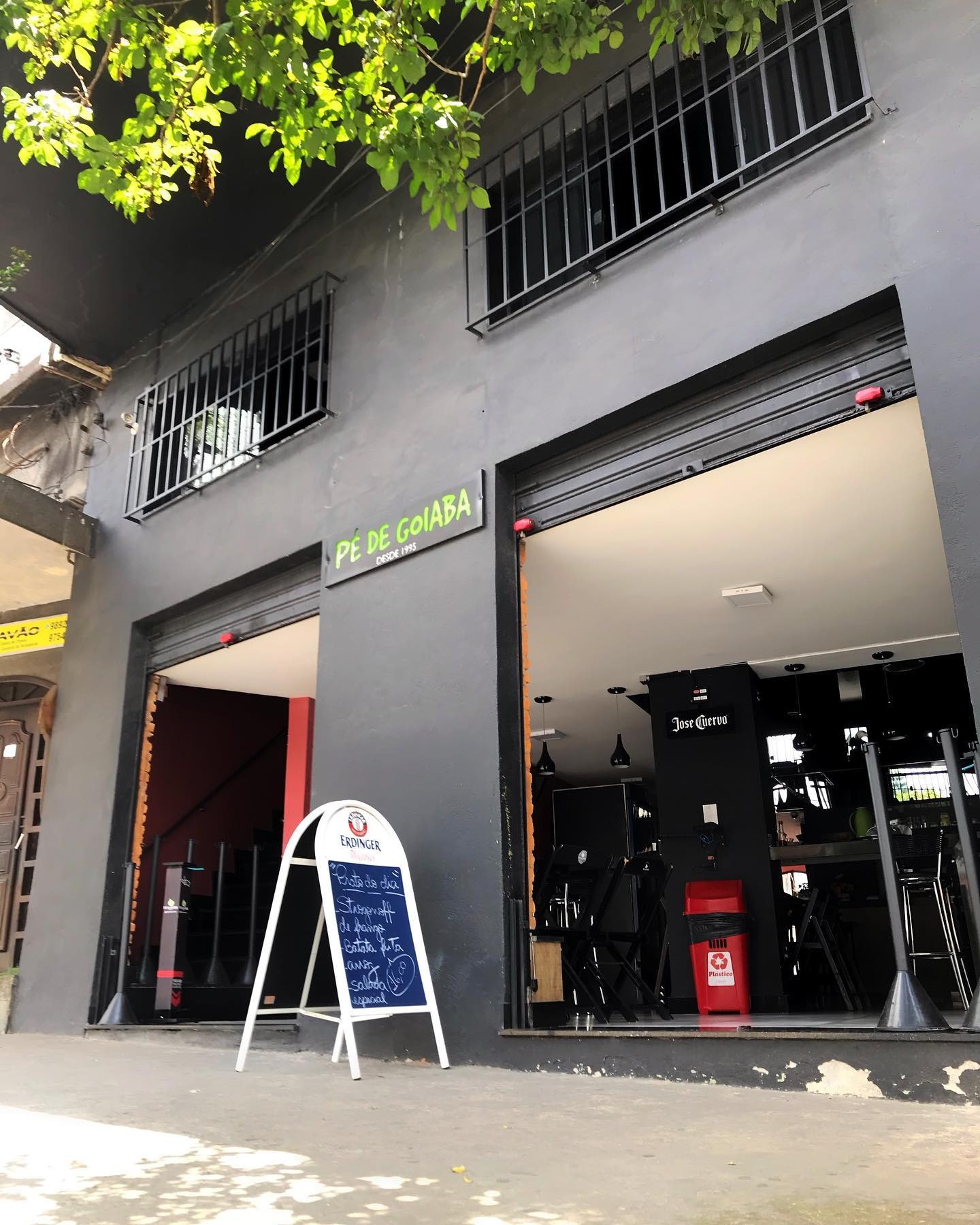 Pé de Goiaba