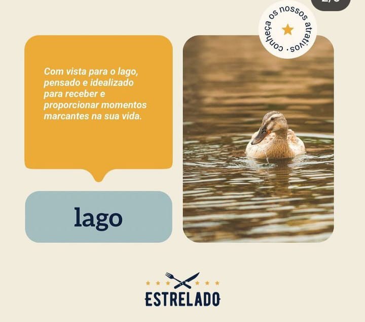 ESTRELADOS 