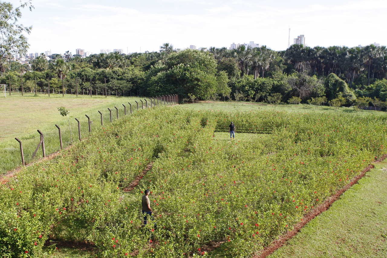 Parque Municipal Santa Luzia