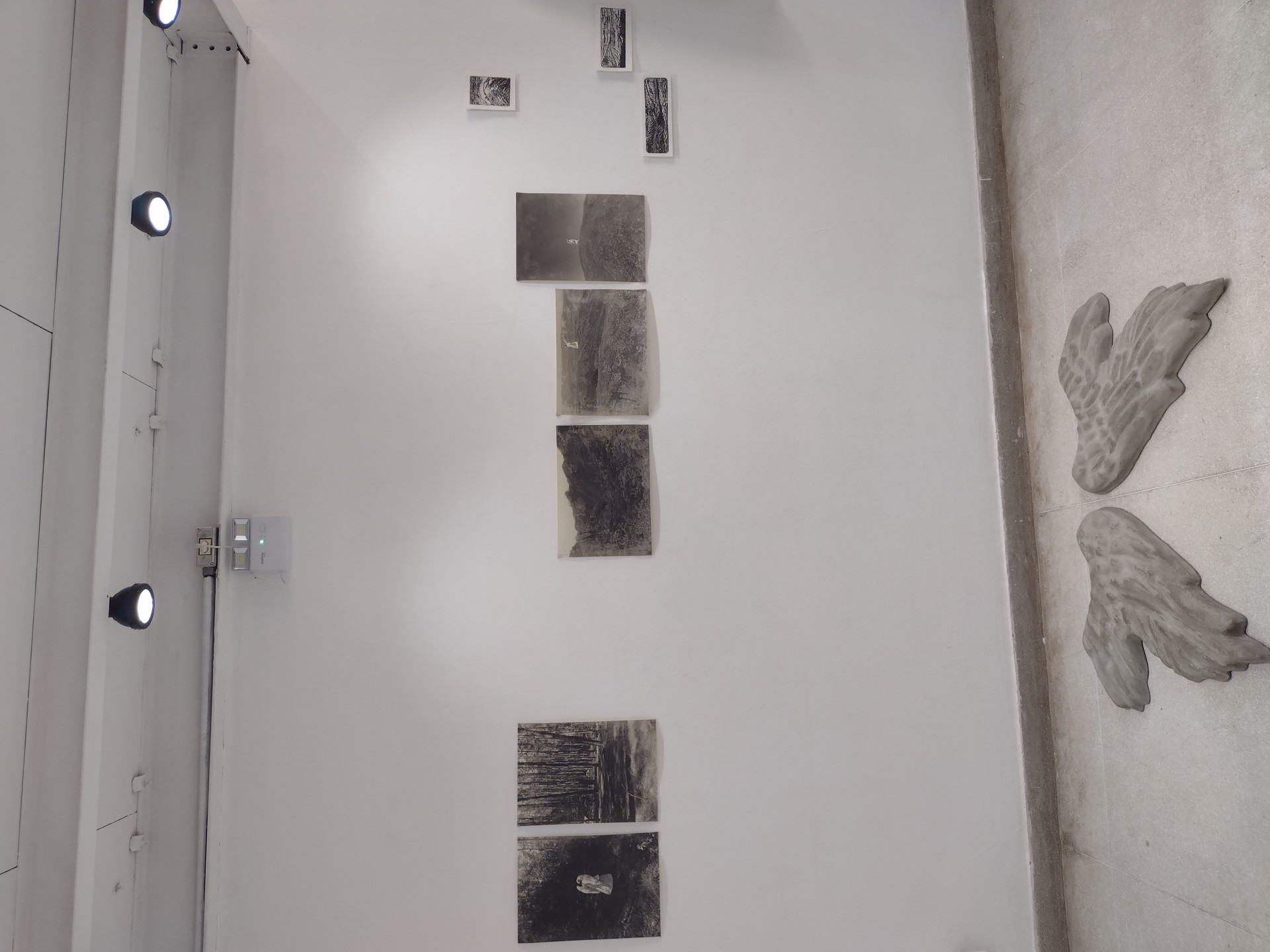 MUNA - Museu Universitário de Arte