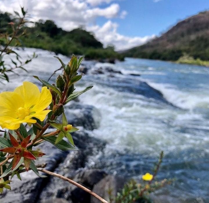 Rio paraíba do Sul