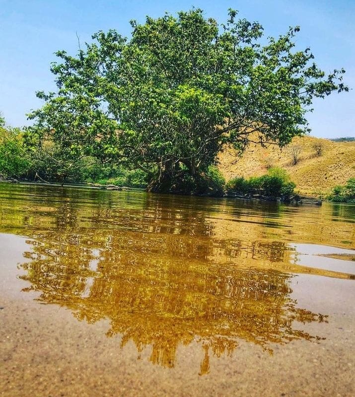 Rio paraíba do Sul