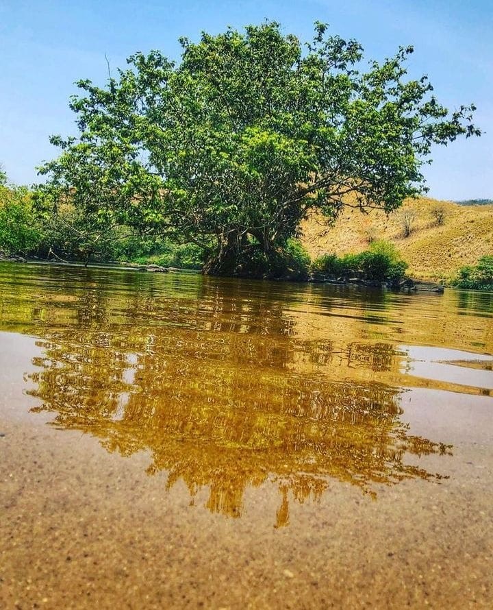 Rio paraíba do Sul