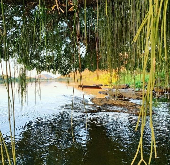 Rio paraíba do Sul