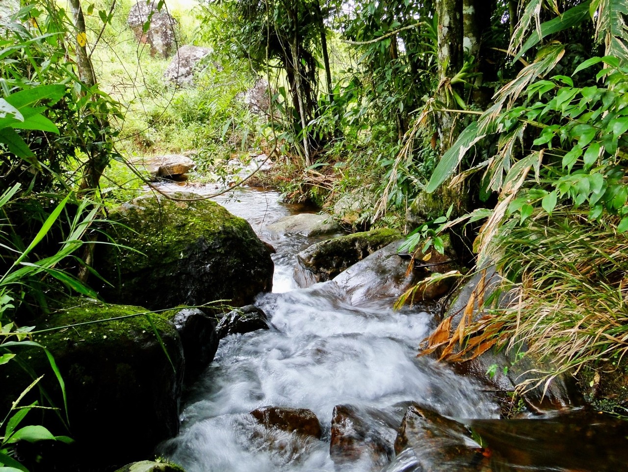 Cachoeira do Asfalto