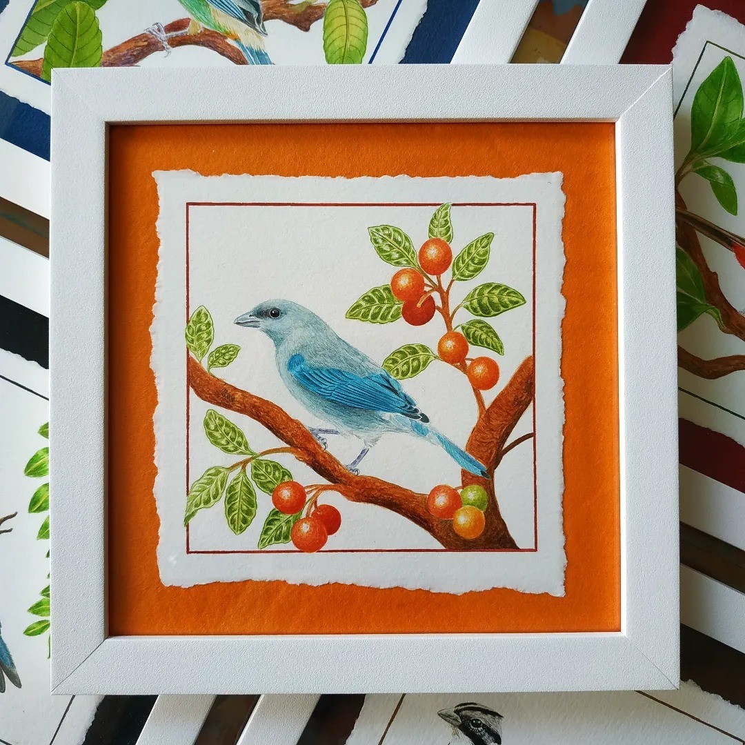 Riccardoilustra