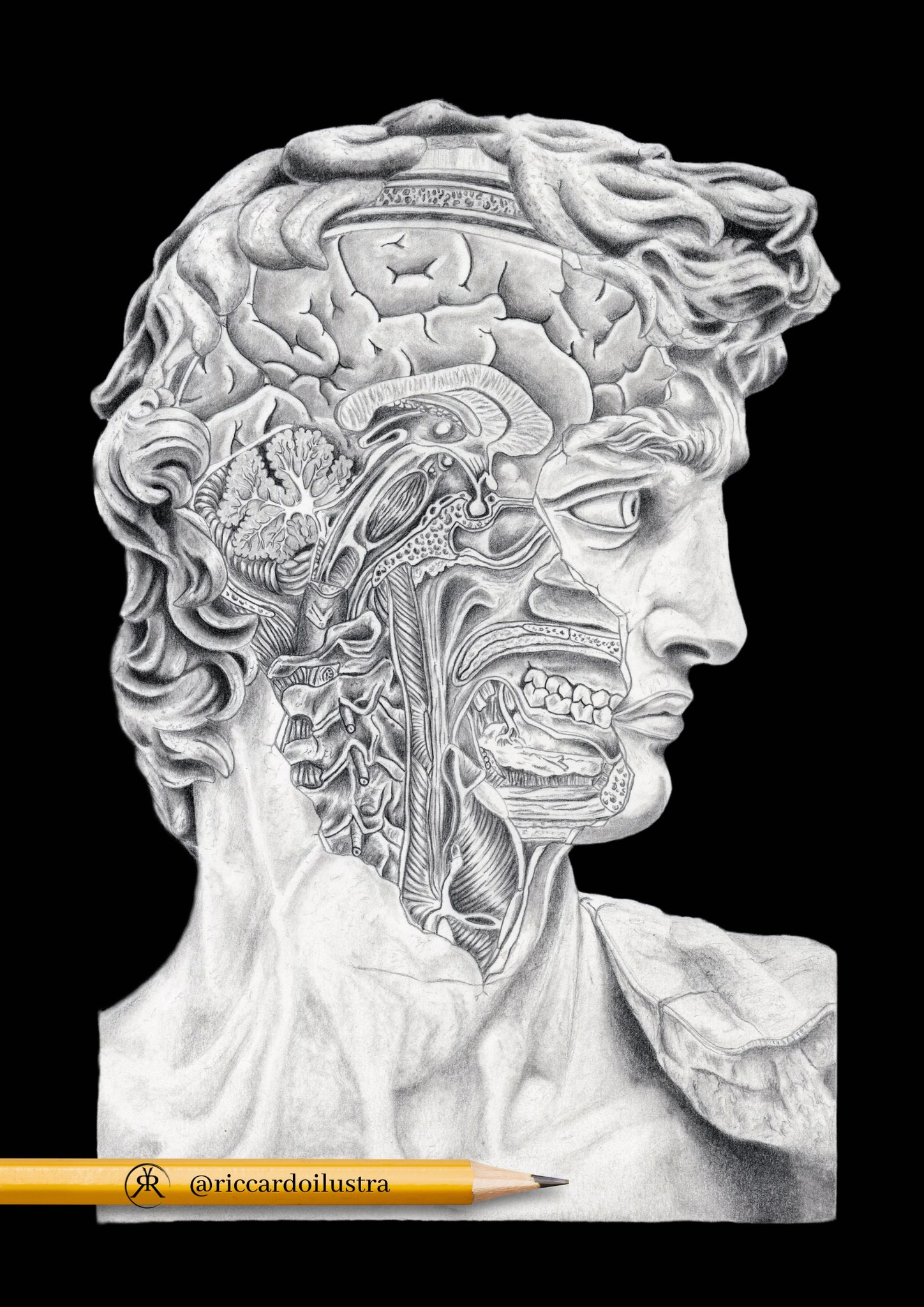 Riccardoilustra
