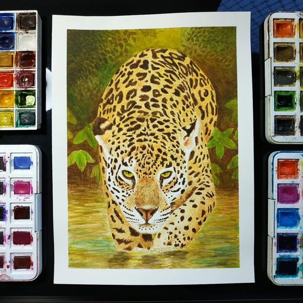 Riccardoilustra