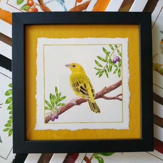 Riccardoilustra