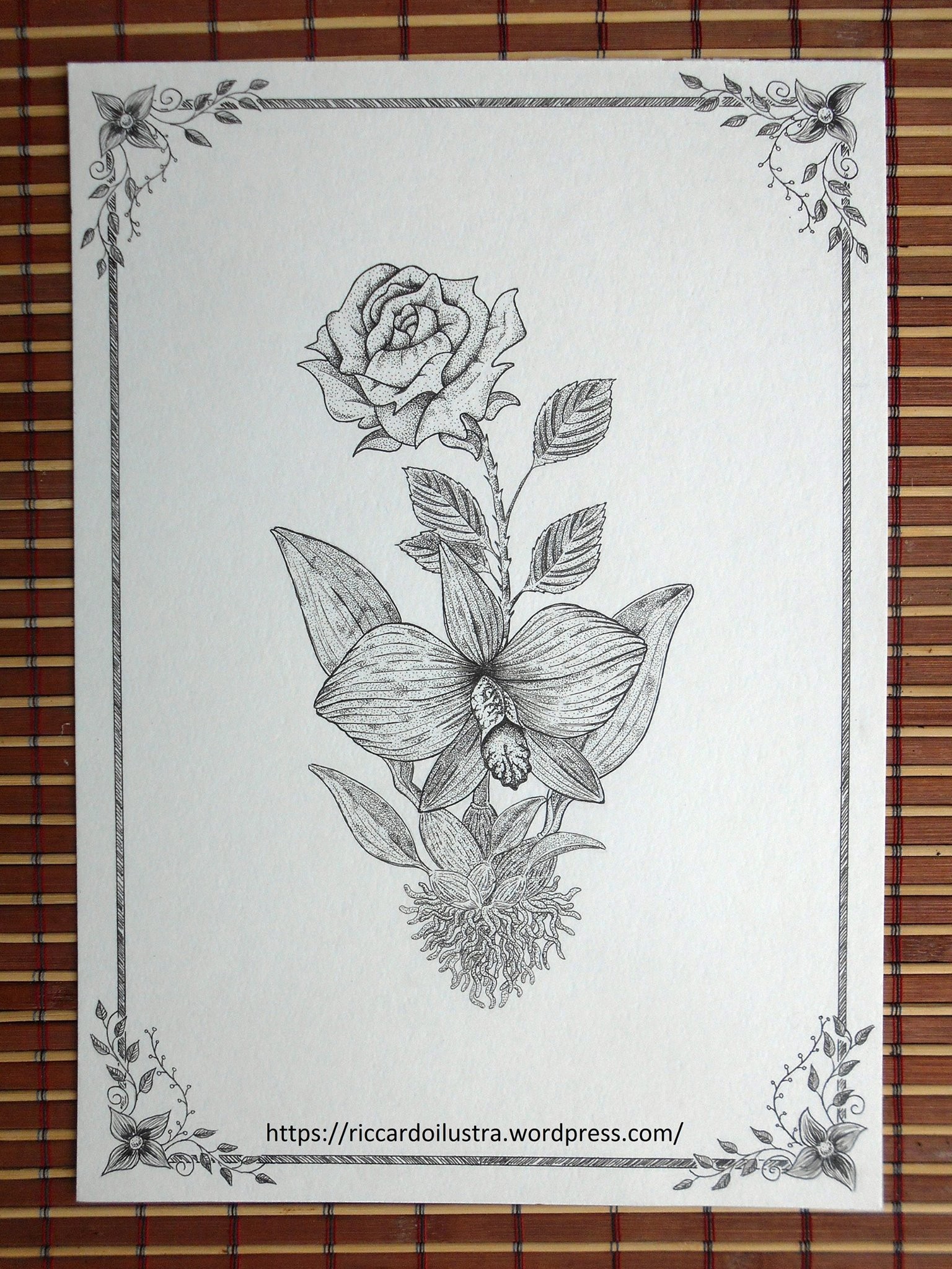 Riccardoilustra