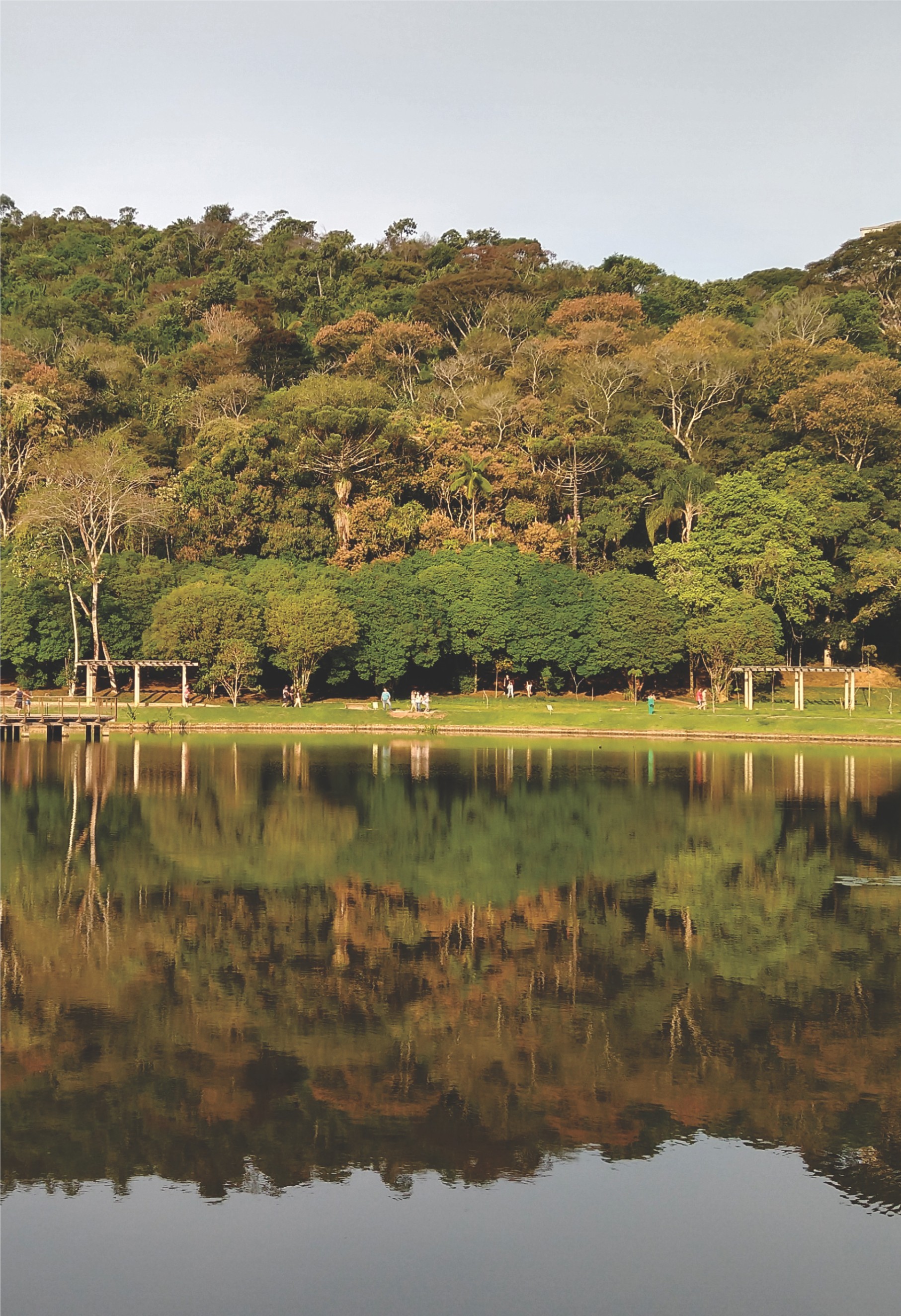 JARDIM BOTÂNICO DA UFJF