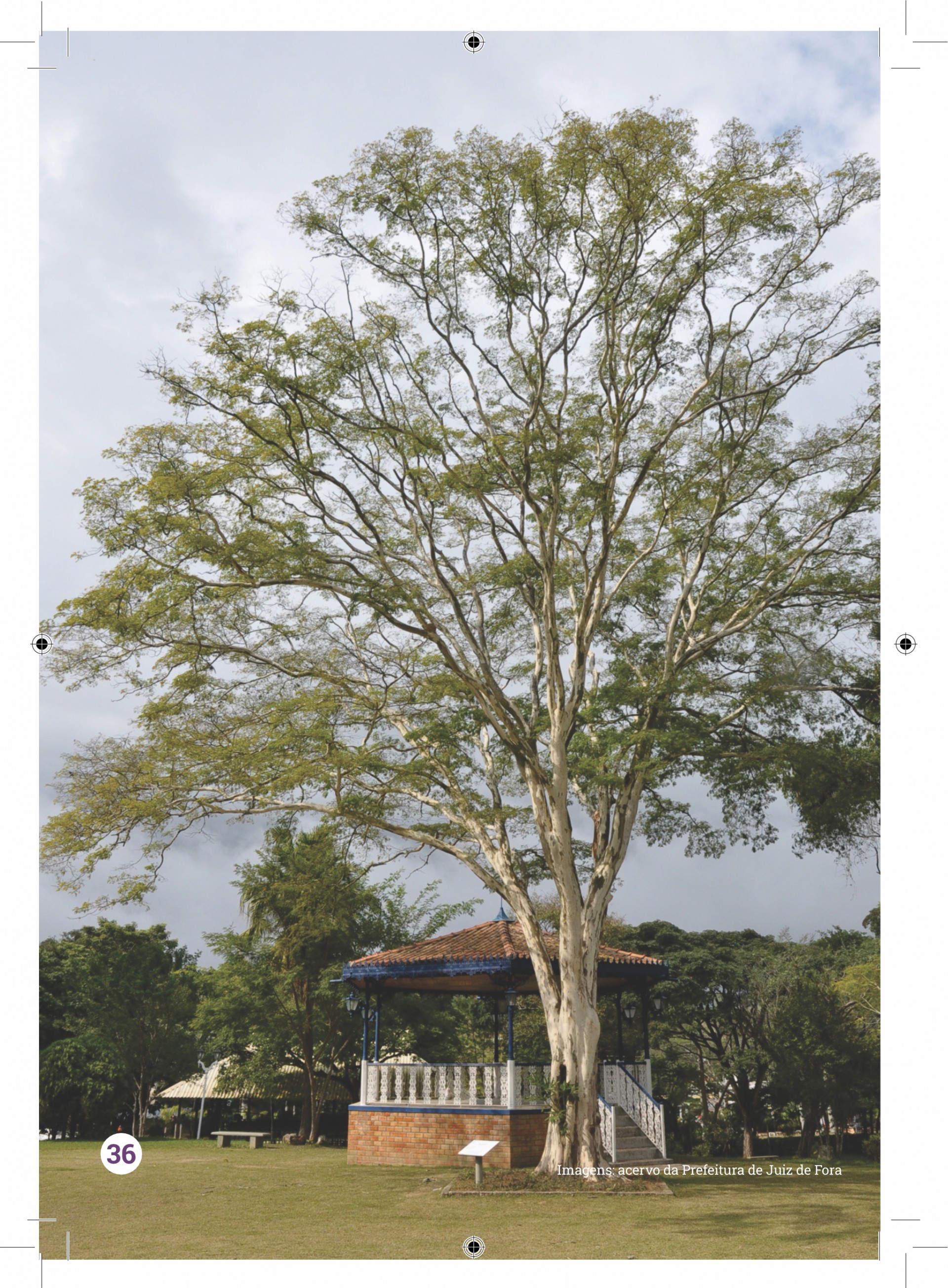 PARQUE DA LAJINHA