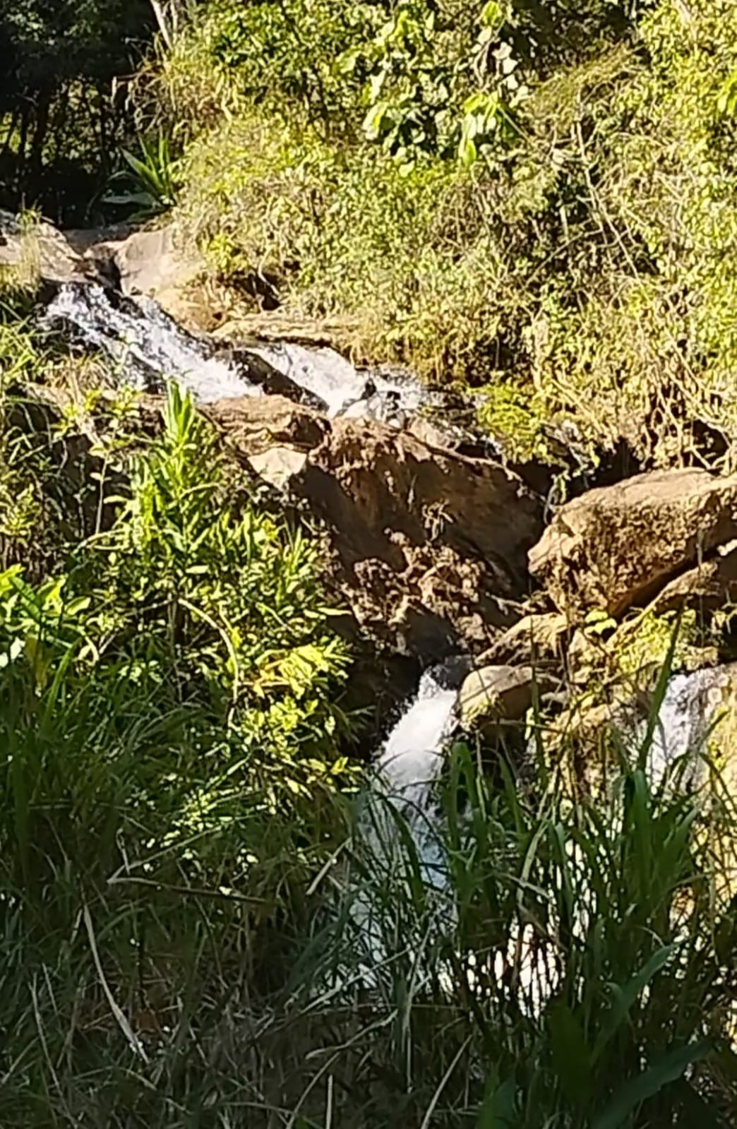 Cachoeira do Moises 