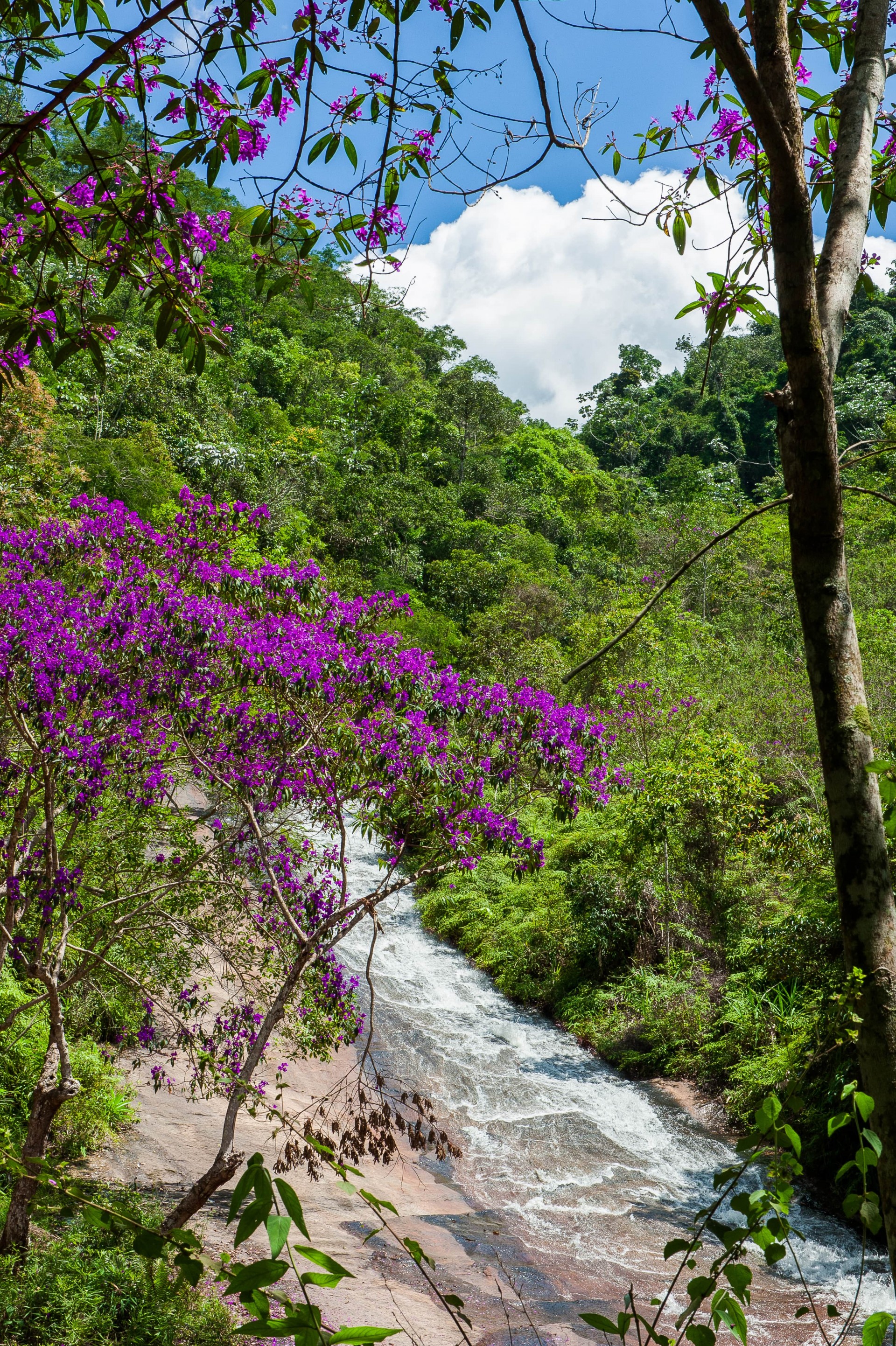 Cachoeira do Escorregador
