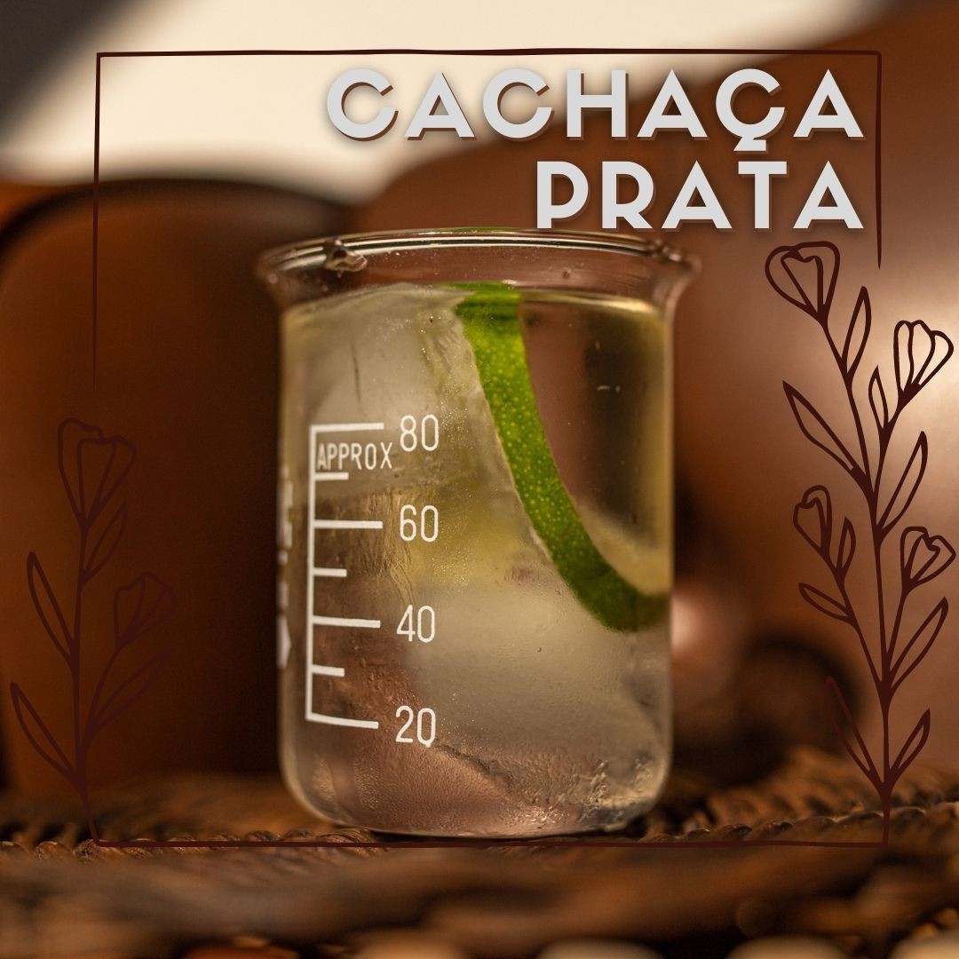 Cervejaria Acadêmica Segredo do Professor