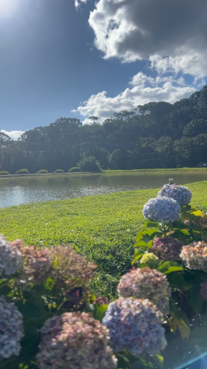 ESTALAGEM MANDEVILLE