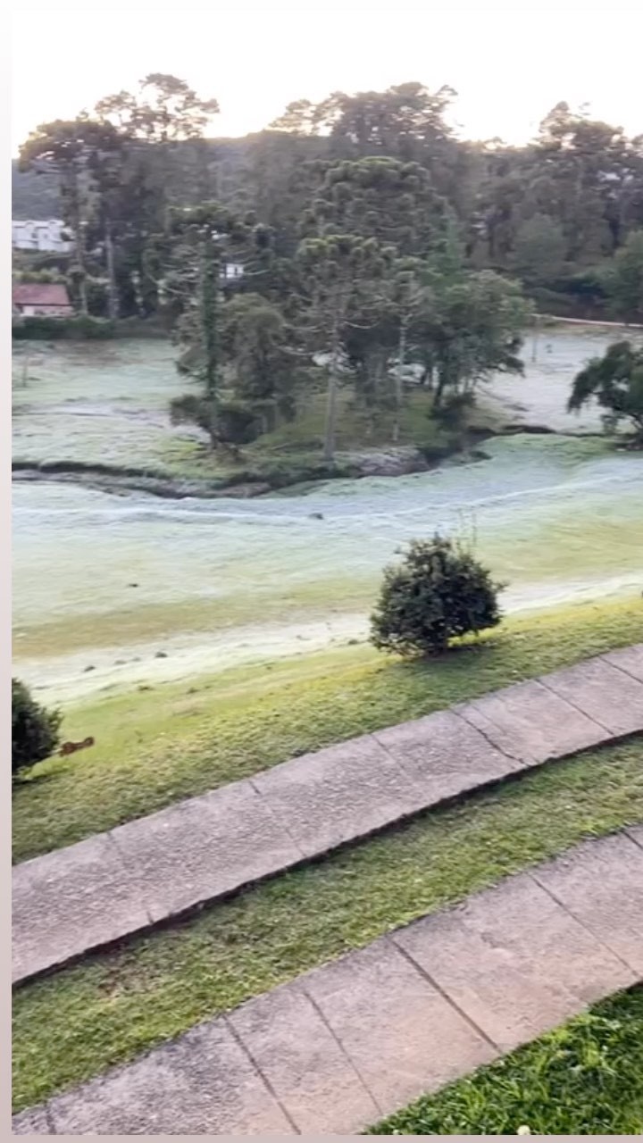 ESTALAGEM MANDEVILLE