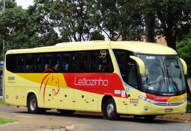 Expresso Leaozinho