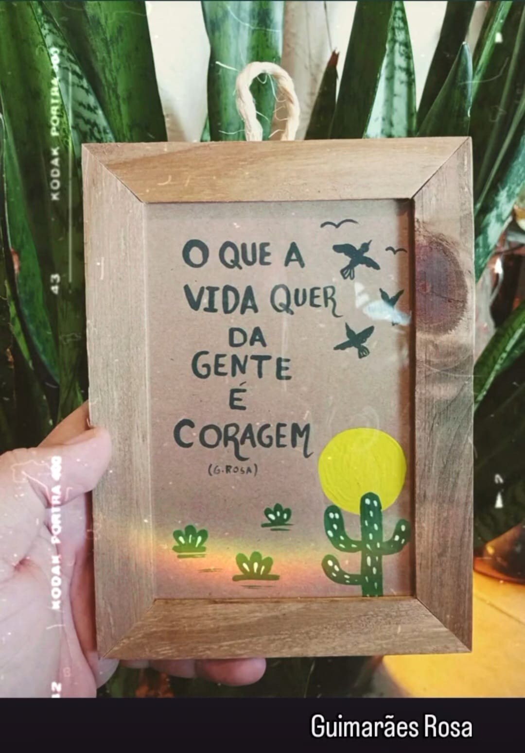 Encantos do Ser-Tão