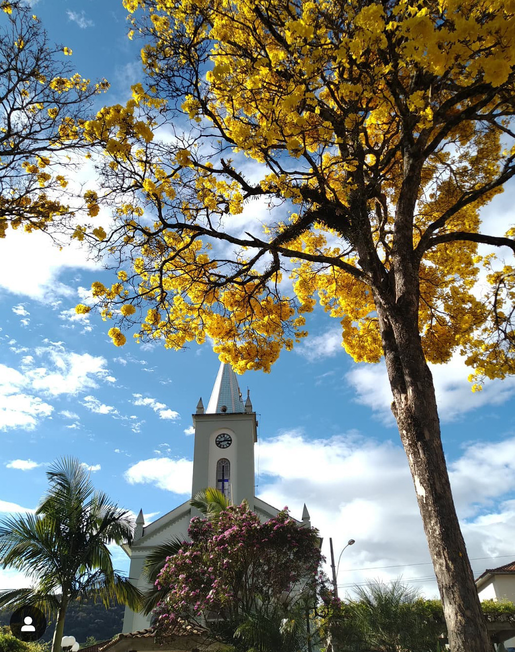 Dom Viçoso Turismo