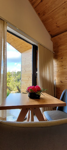 HOTEL PICO 16