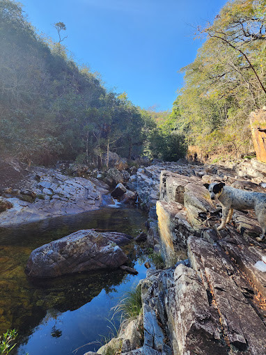 Cachoeira do Tamanduá