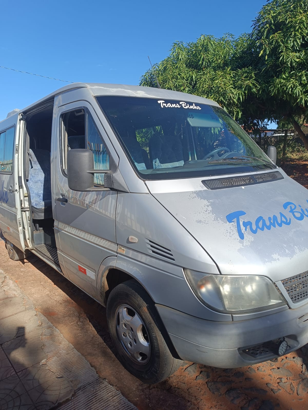 Trans Binho