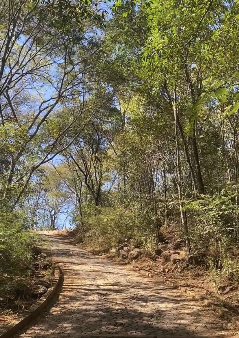 Serra Calçada
