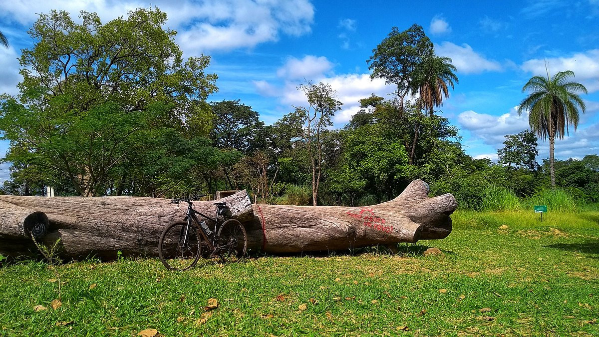 Parque Fernão Dias