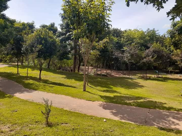 Parque das Amendoeiras