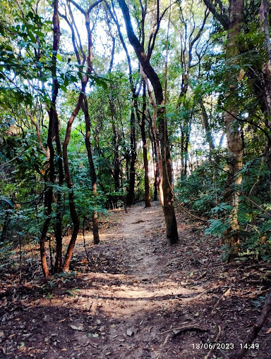 Parque Municipal Gentil Diniz