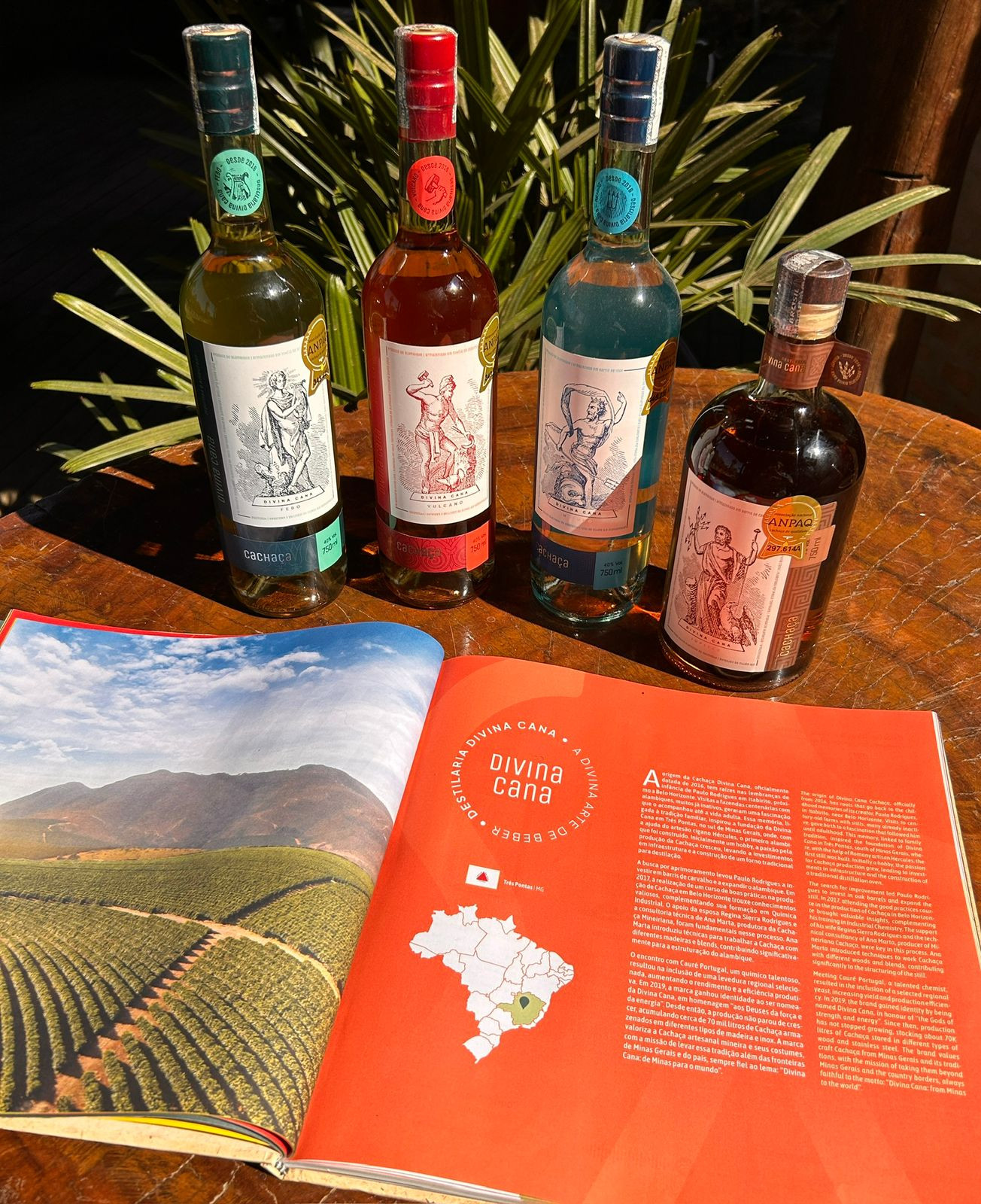 Cachaça Divina Cana