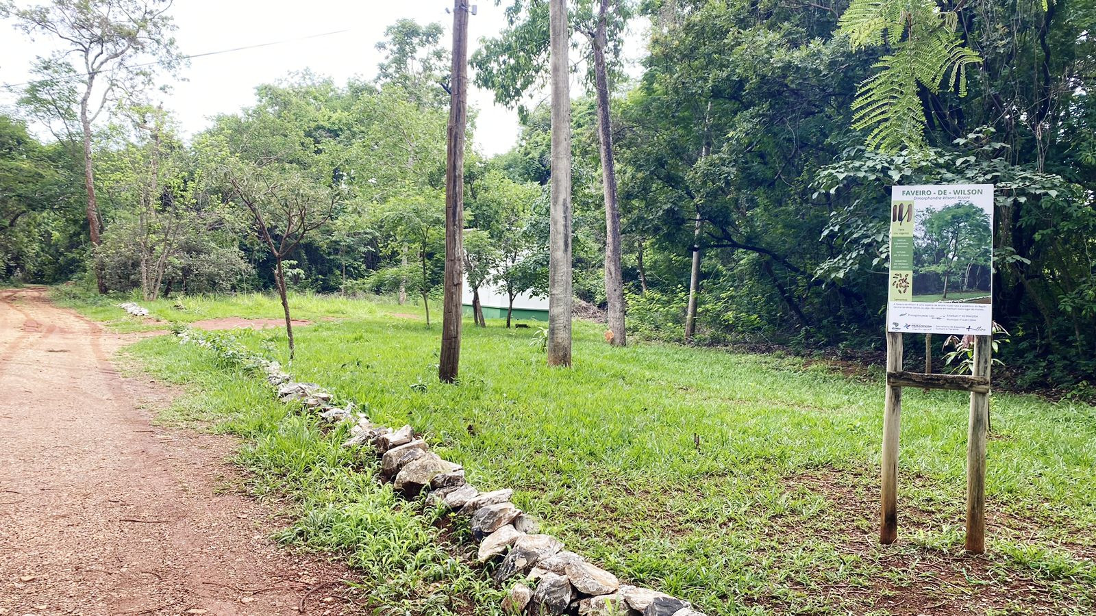 Horto Florestal 