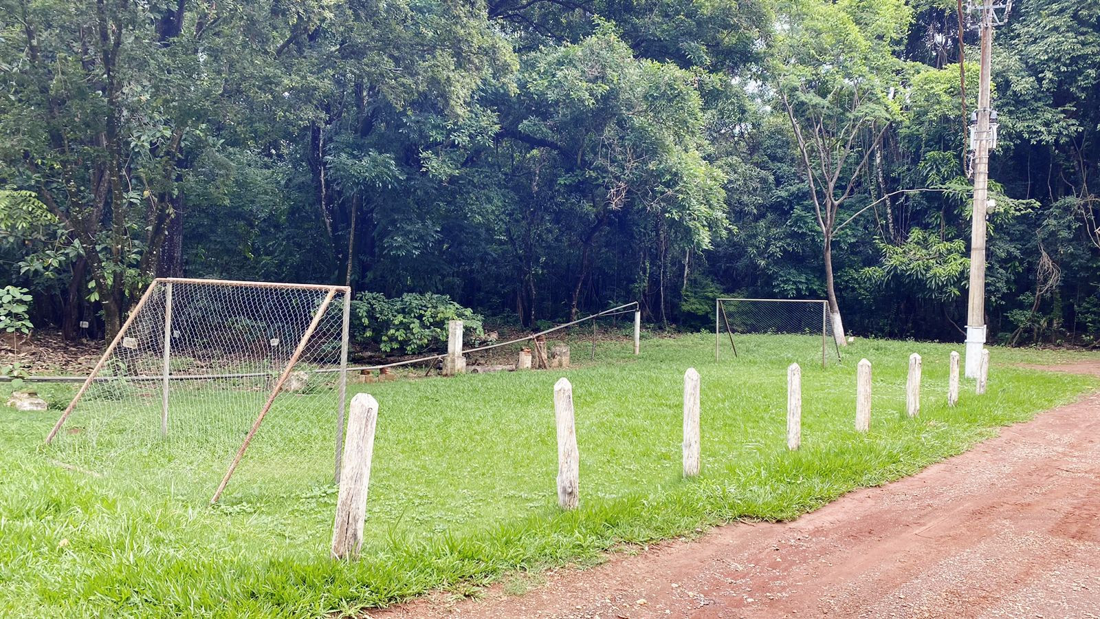 Horto Florestal 