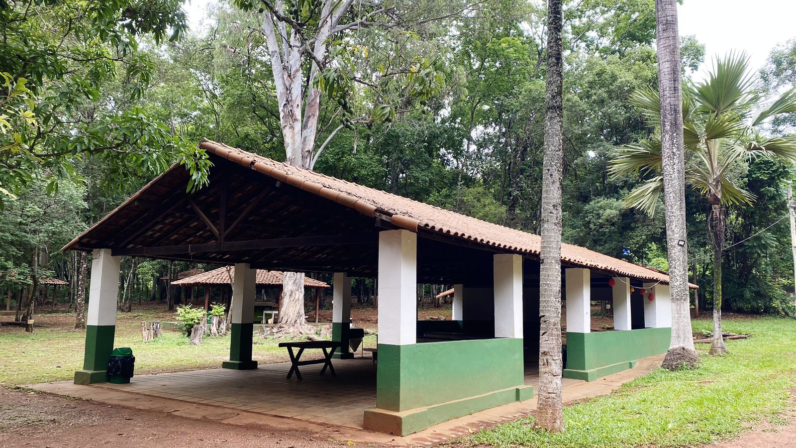 Horto Florestal 
