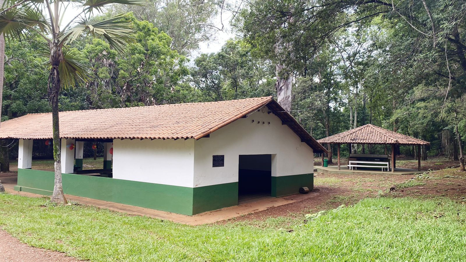 Horto Florestal 