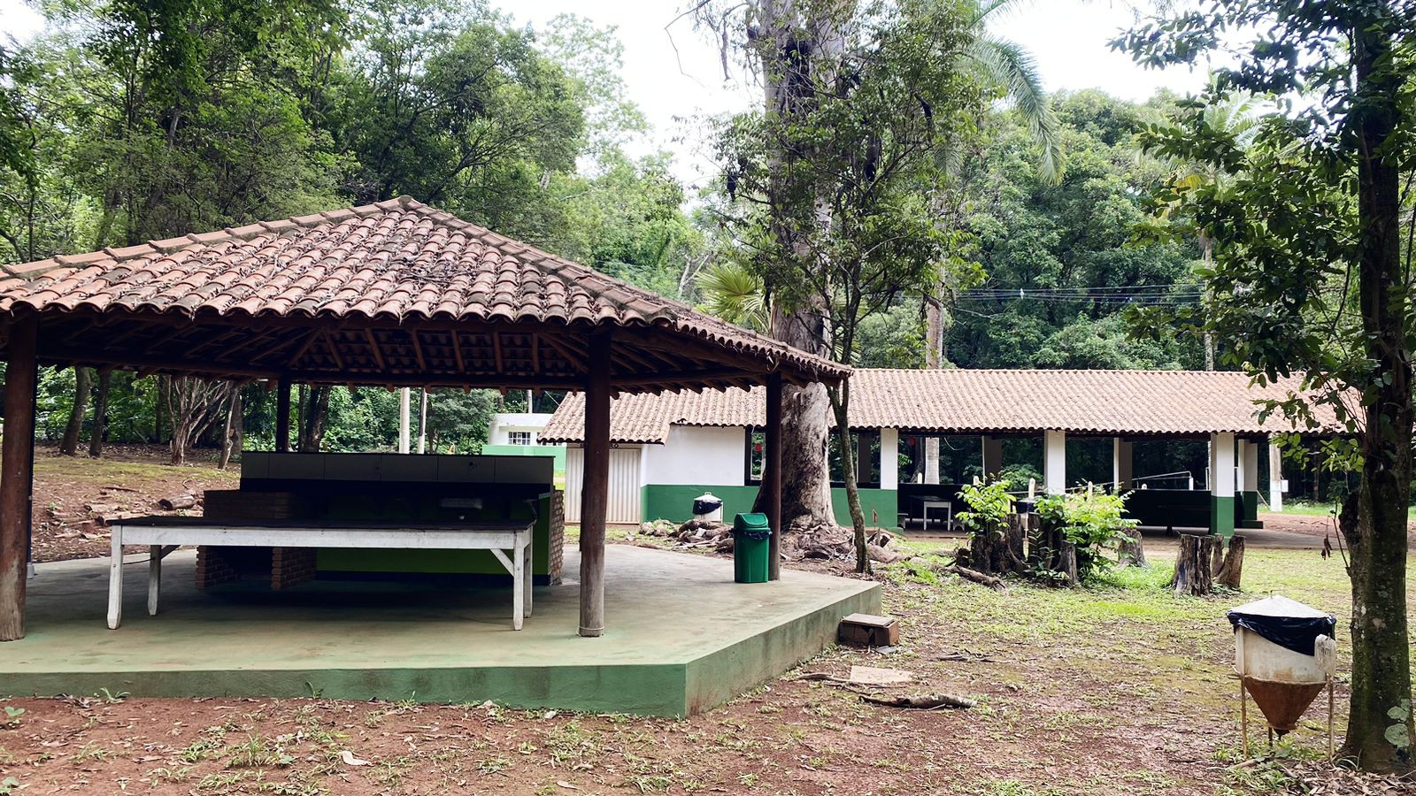 Horto Florestal 
