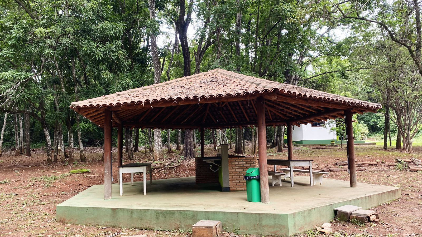 Horto Florestal 
