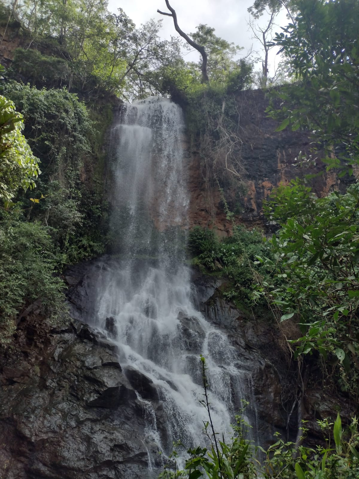 Cachoeira do Terra Branca 