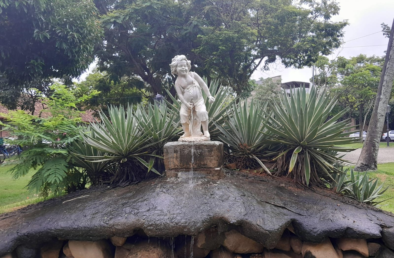 Menino Mijão