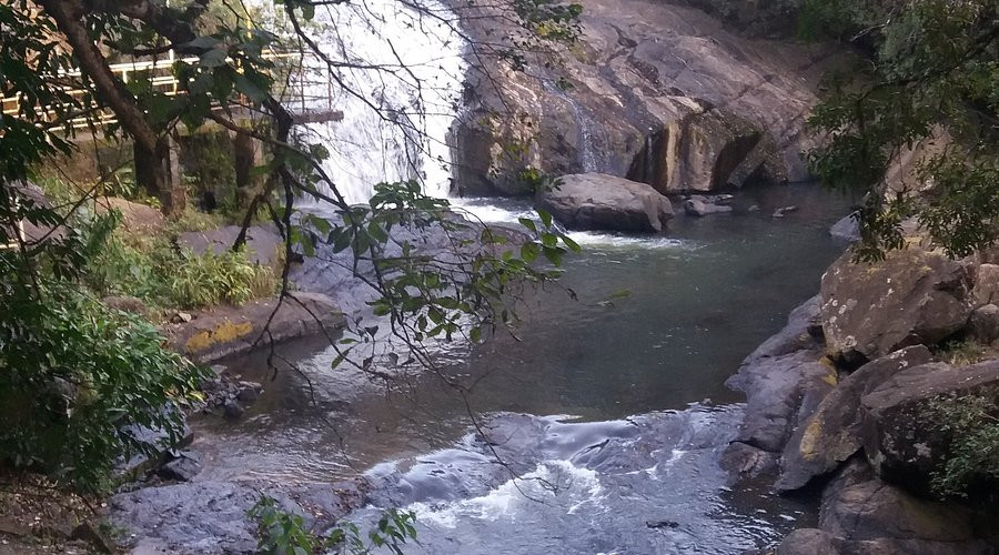 Bacião