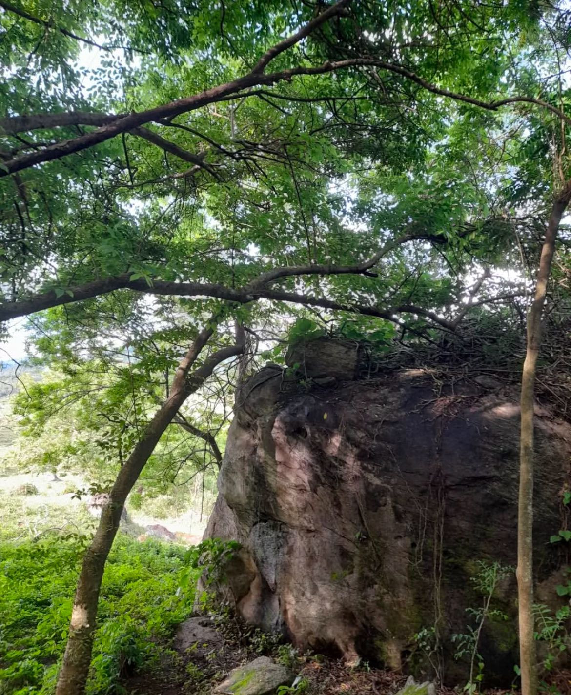 Pedra das Caveiras