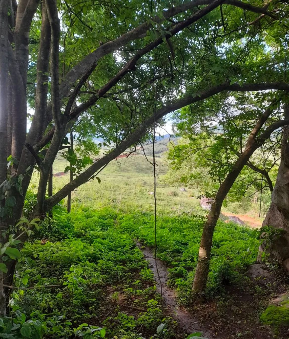 Pedra das Caveiras