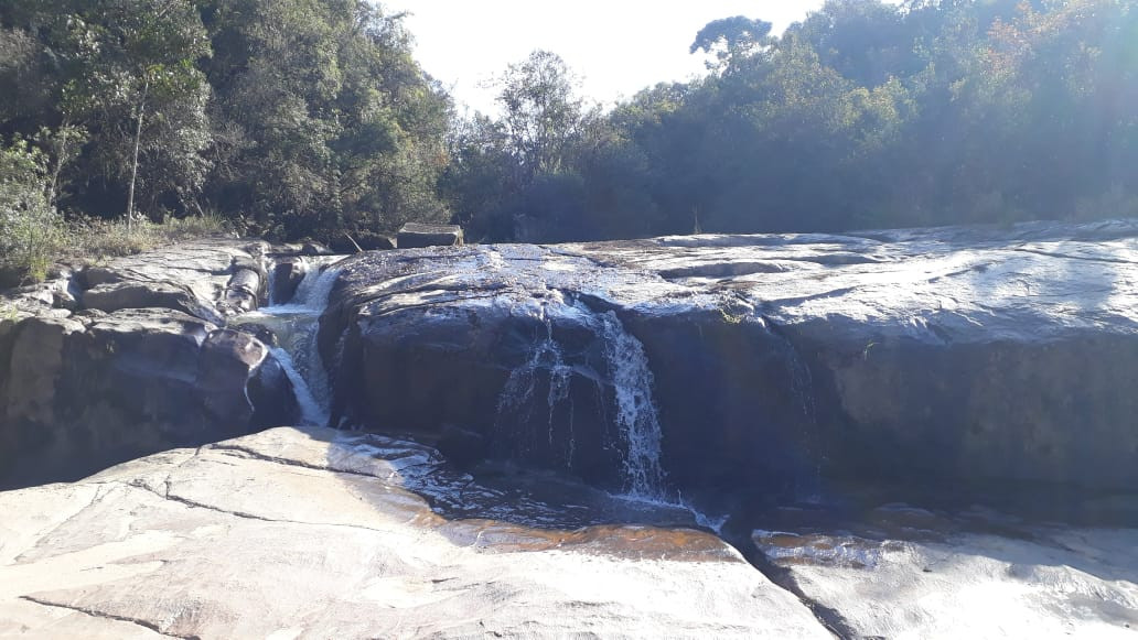 Sitio Tertulia Ecoparque