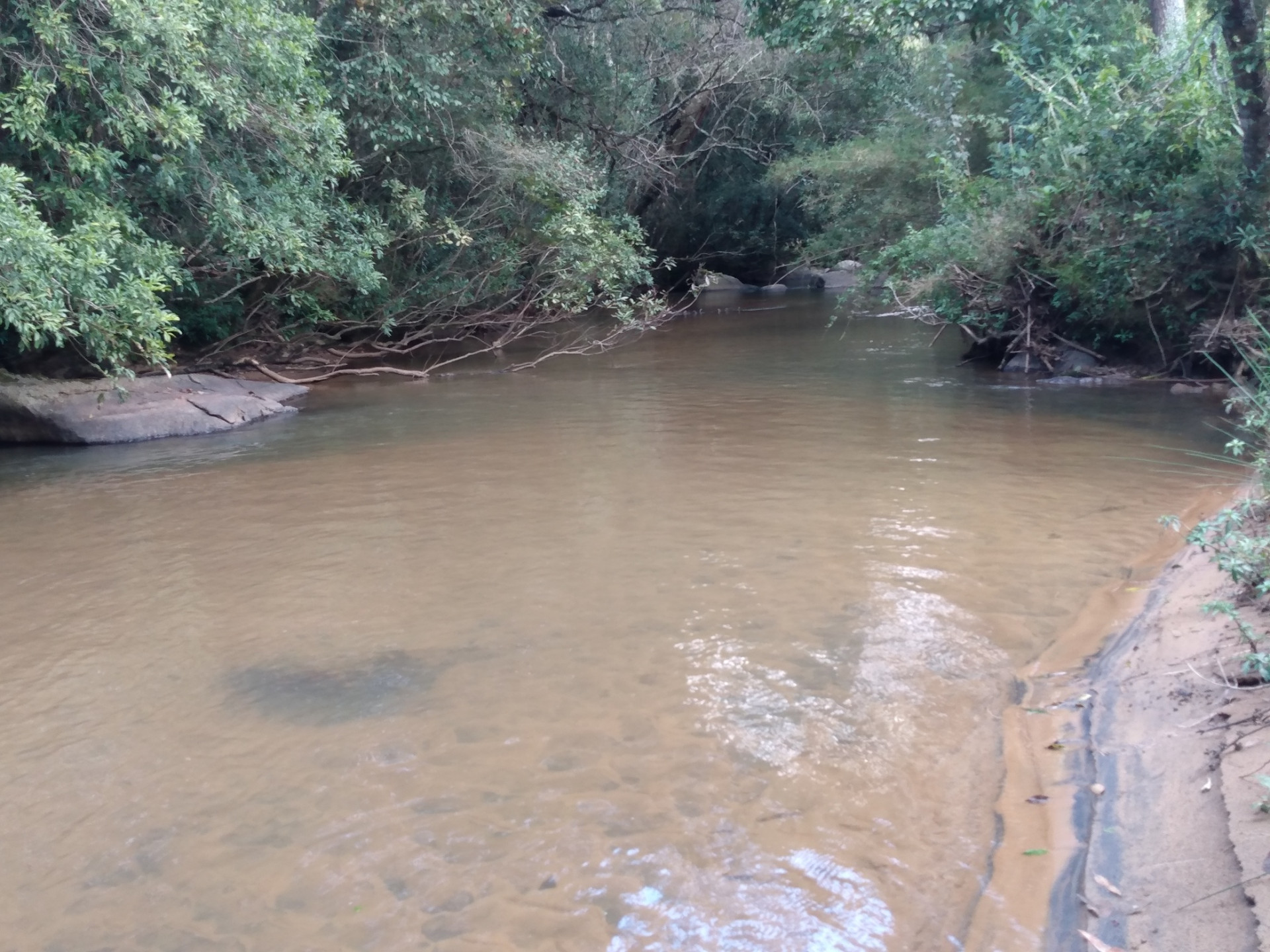 Sitio Tertulia Ecoparque