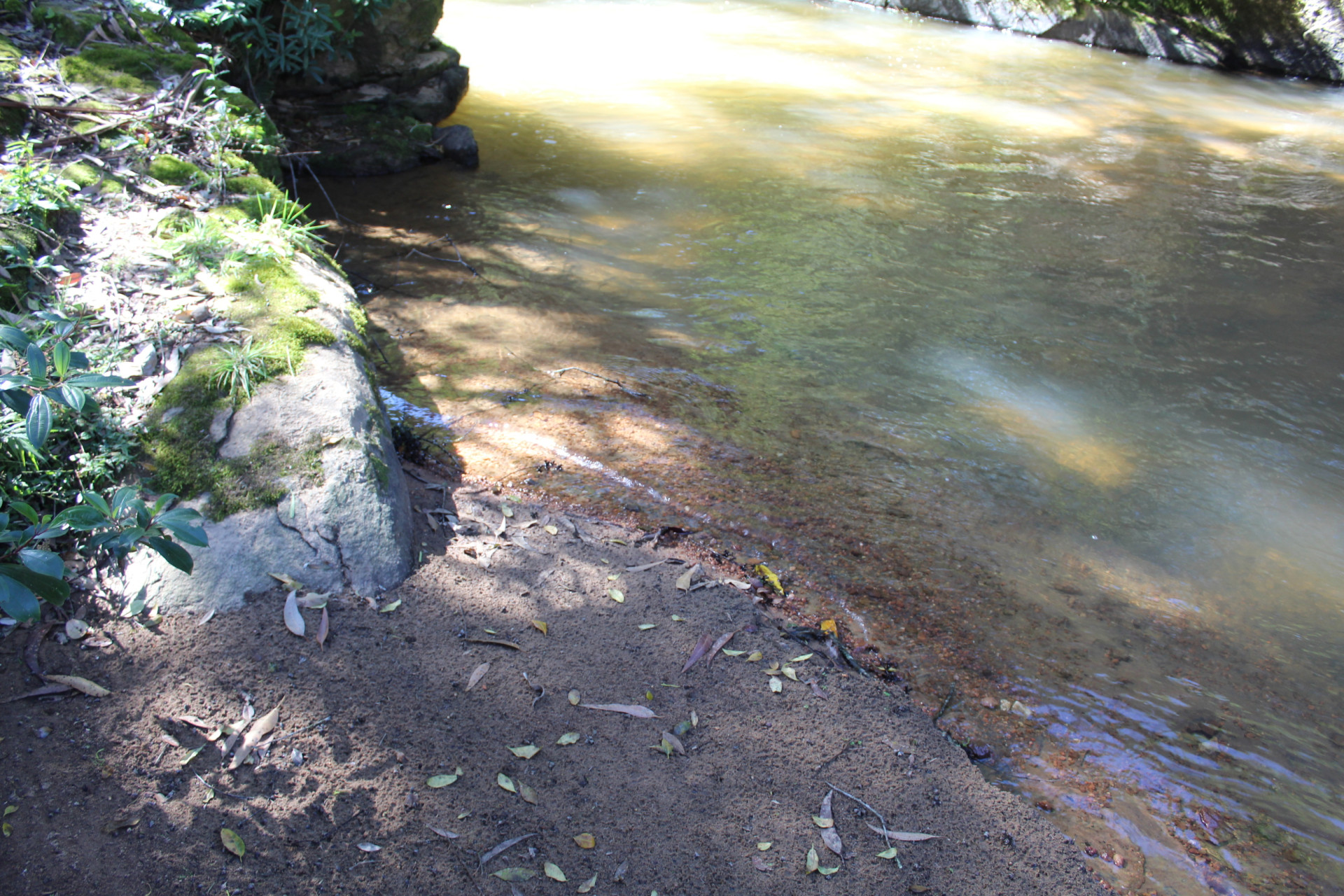Sitio Tertulia Ecoparque