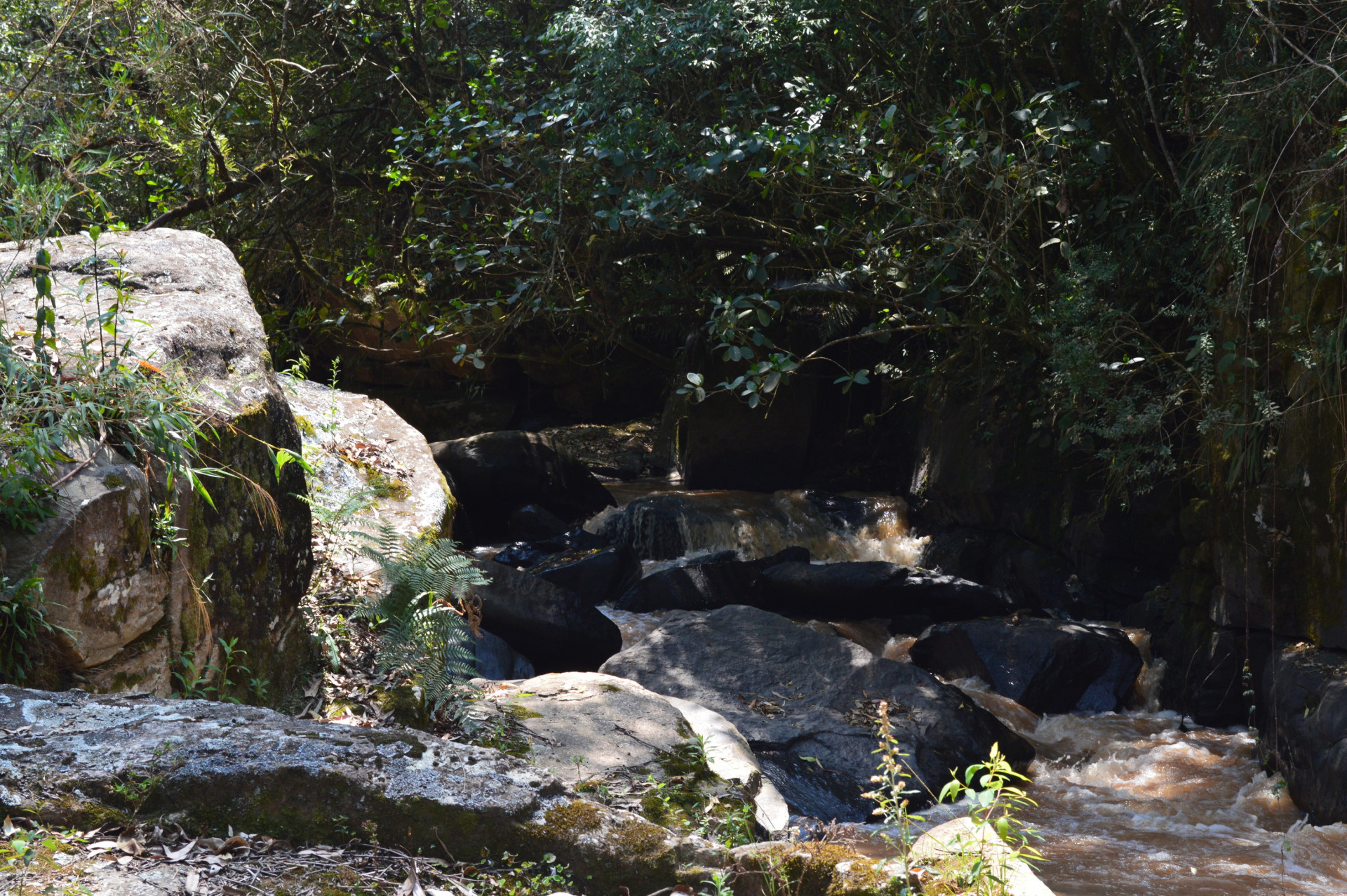 Sitio Tertulia Ecoparque
