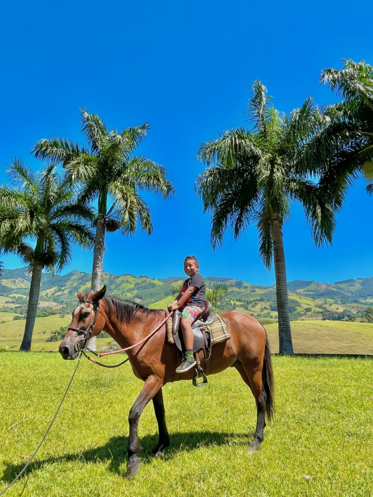 Dom Viçoso Turismo