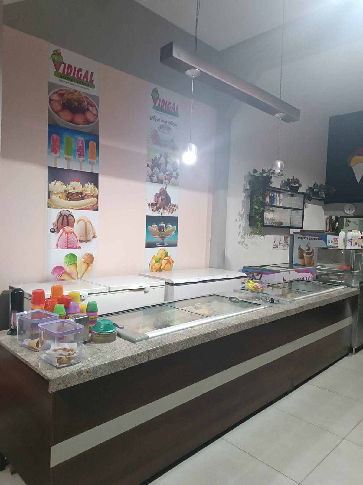 Vidigal Sorveteria