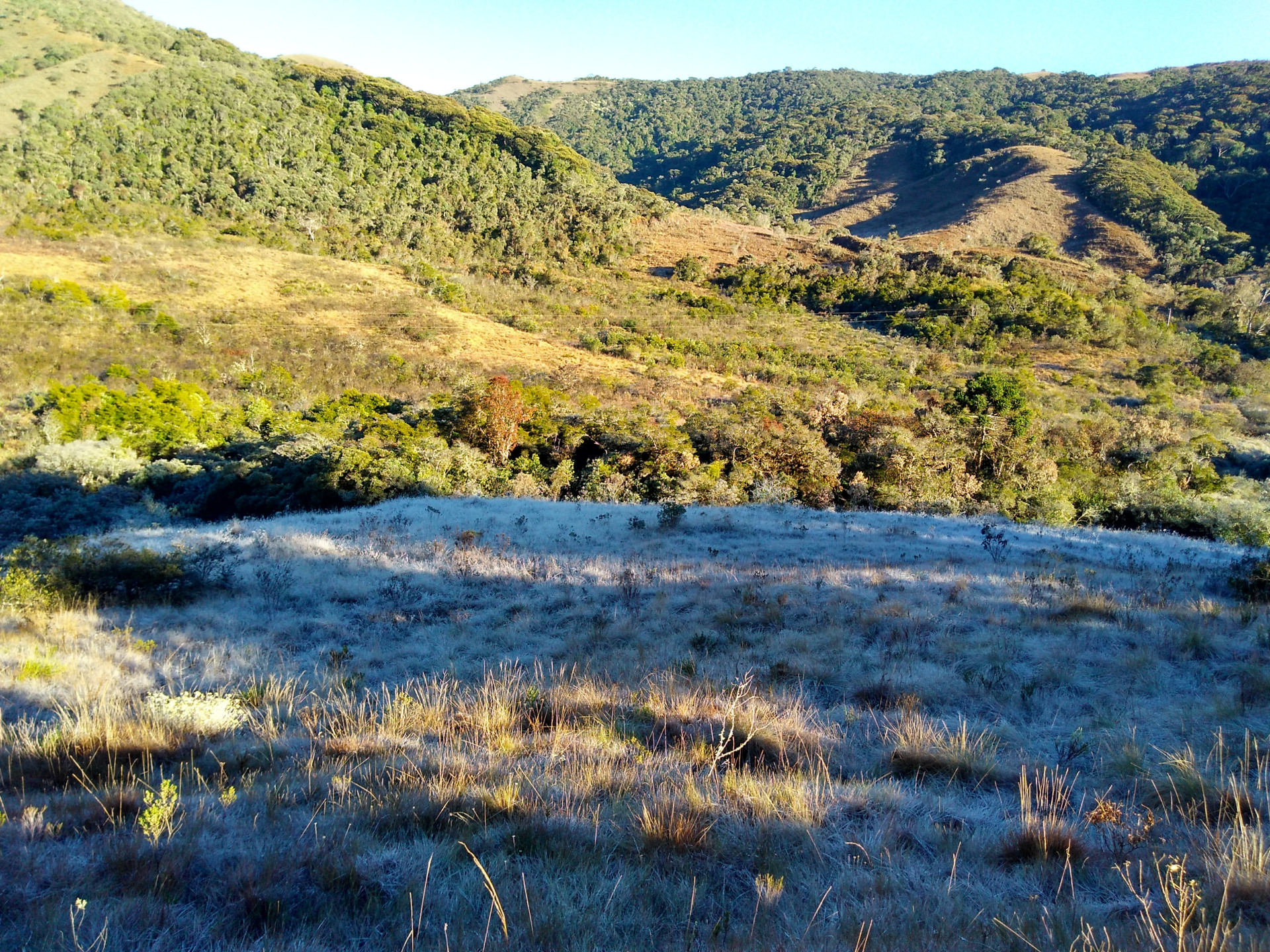 Parque Estadual da Serra do Papagaio